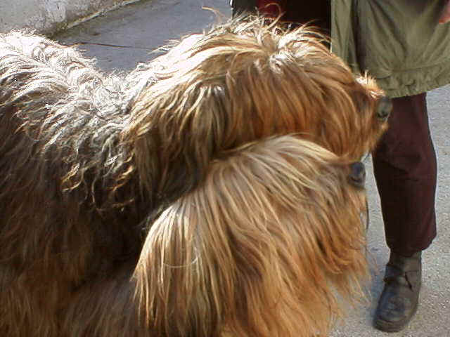 Rdl00899.jpg (40960 Byte)