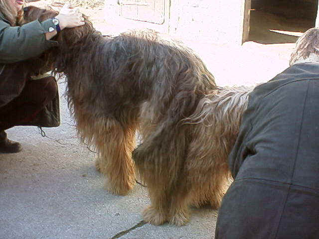 Rdl00902.jpg (40960 Byte)