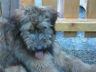 Rdk00442cognak.jpg (12438 Byte)